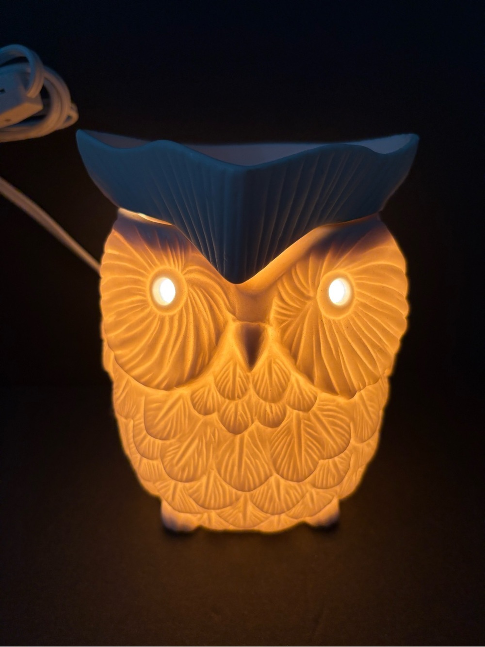 Scentsy Whoot Owl Electric Wax Warmer